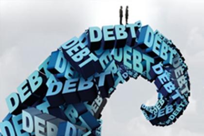 Long Term Debt Sustainability